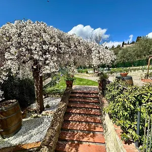Tassinaia Pontassieve